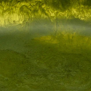 Olive Marble